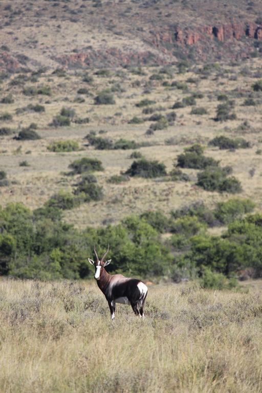 Ko Ka Tsara Bush Camp Villa Beaufort West Ngoại thất bức ảnh